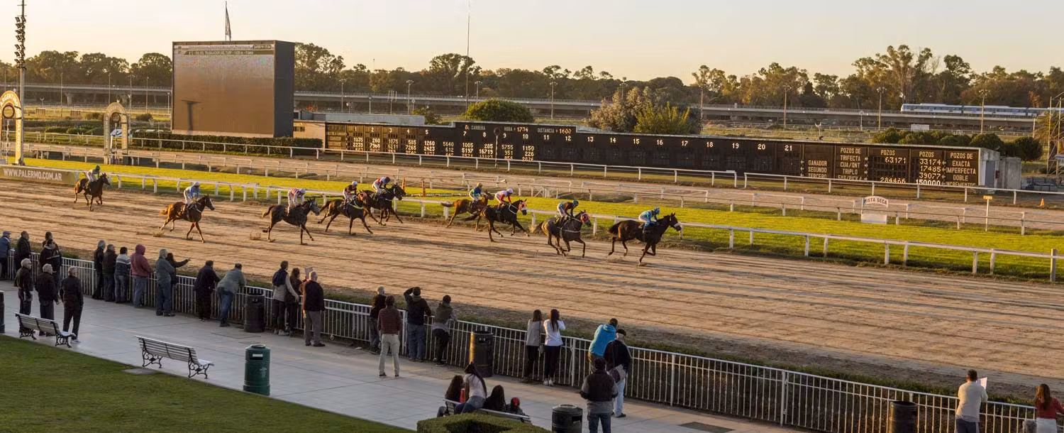 imagem relacionada a ¡El hipódromo es una buena elección!
