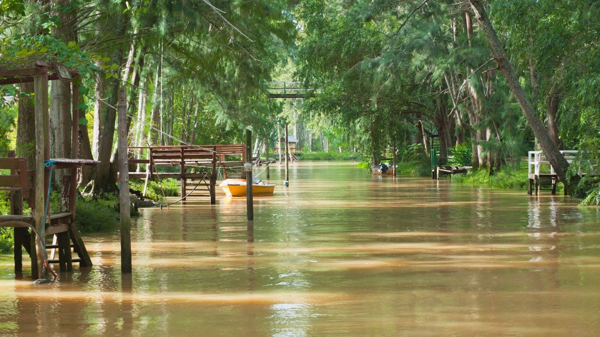 Delta do Tigre